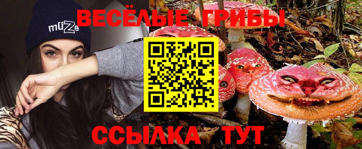 Галлюциногенные грибы Cubensis Кушва